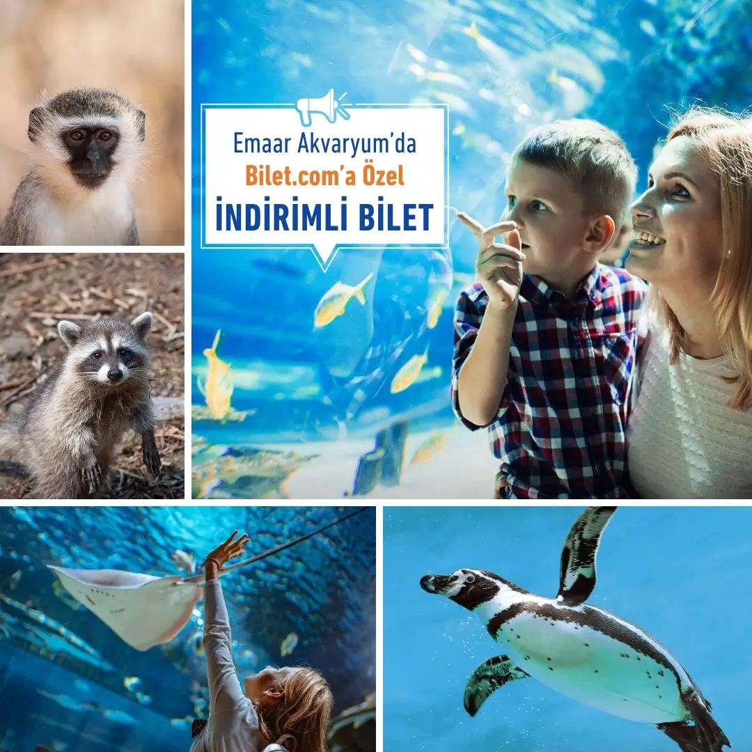 Emaar Akvaryum thumbnail