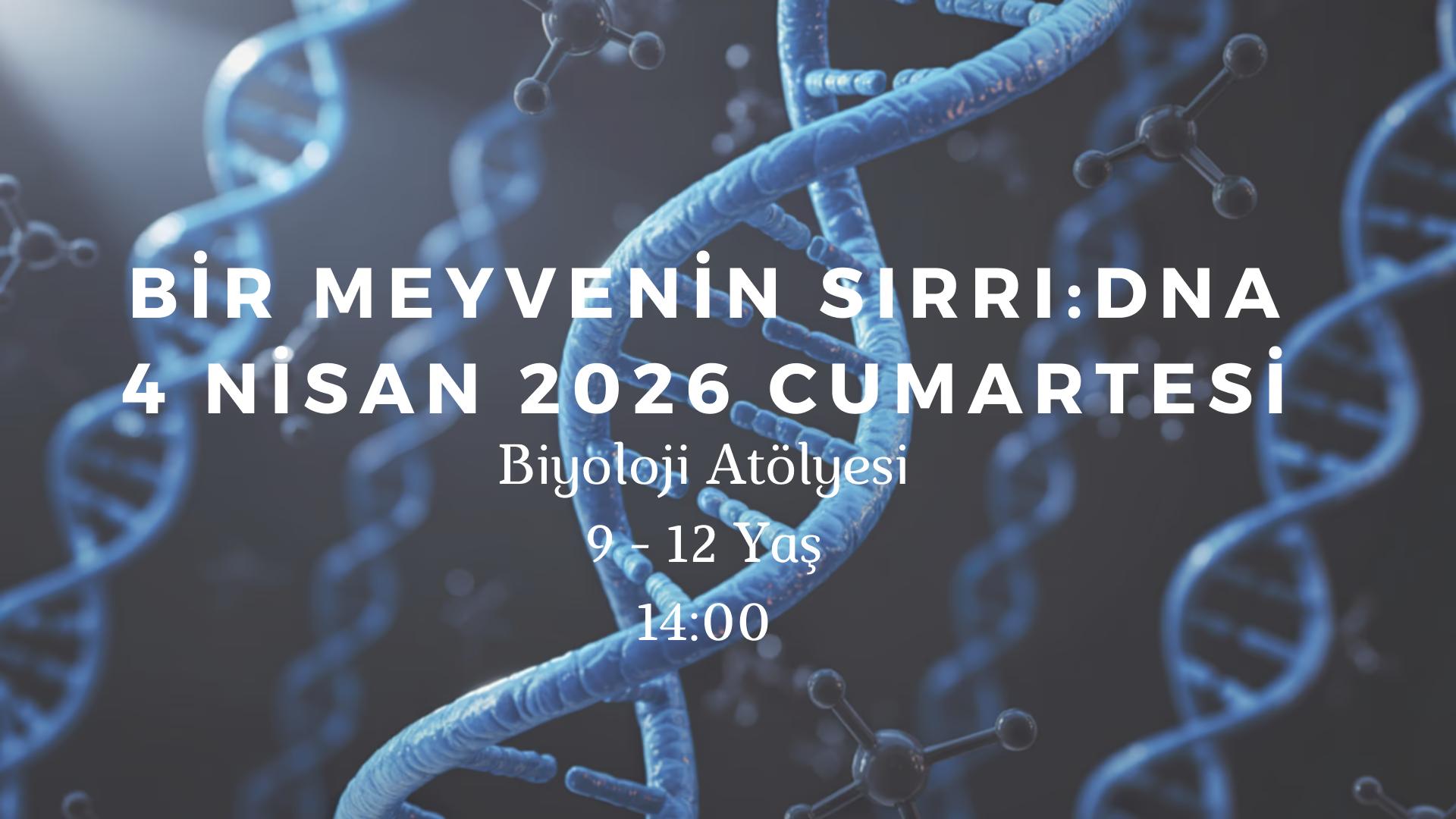 Bir Meyvenin Sırrı : DNA 9-12 Yaş thumbnail